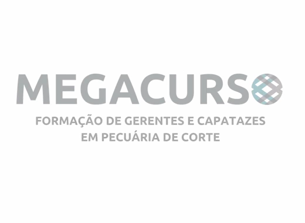 megacurso