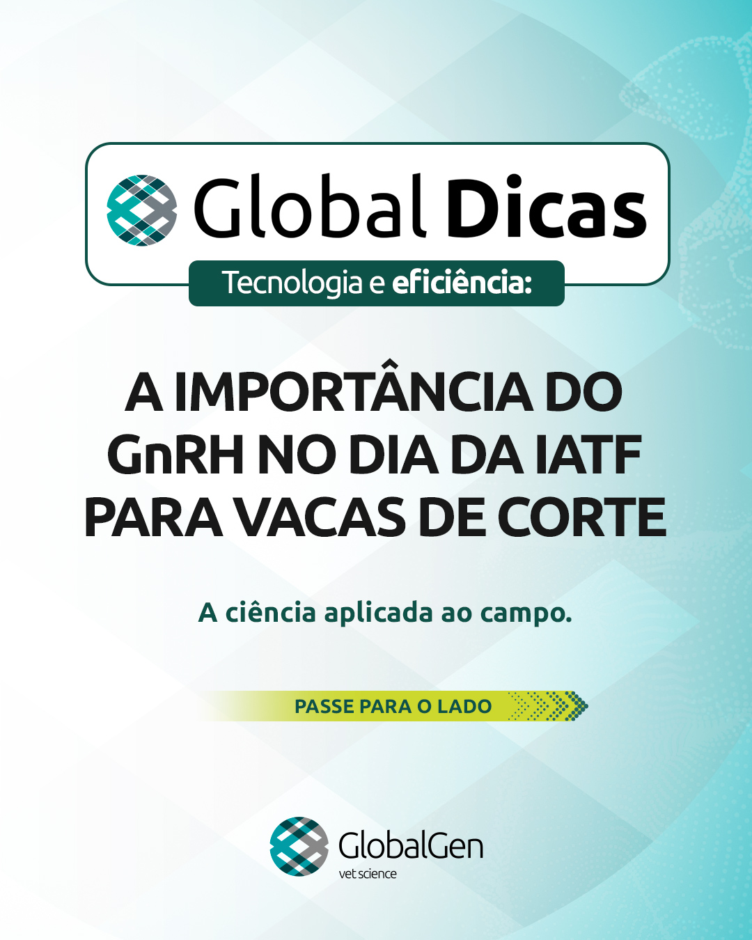 Carrossel-Global-Dicas_maio_def_01