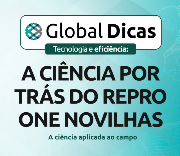 globaldicas-07-25