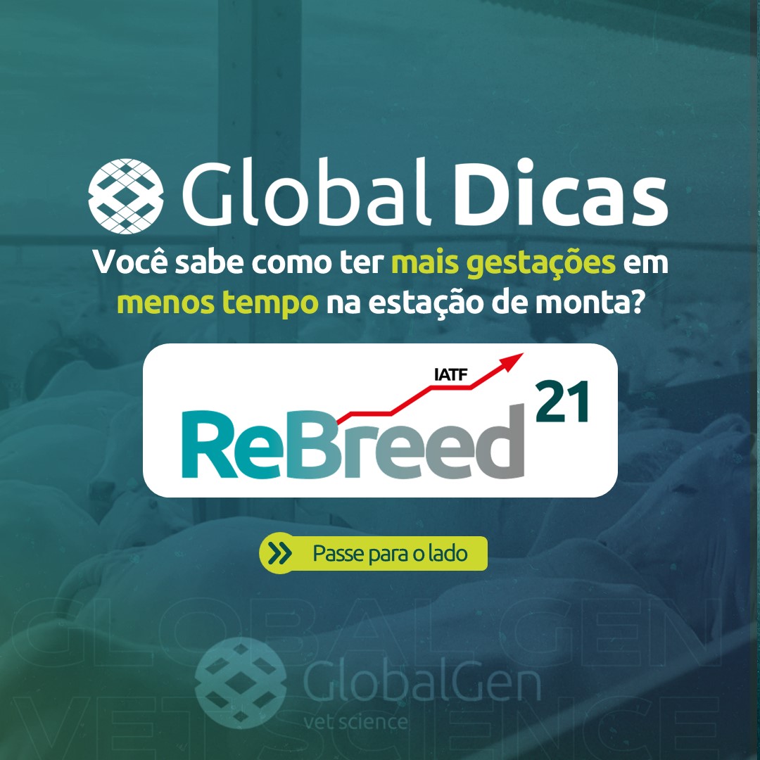 globaldicas1