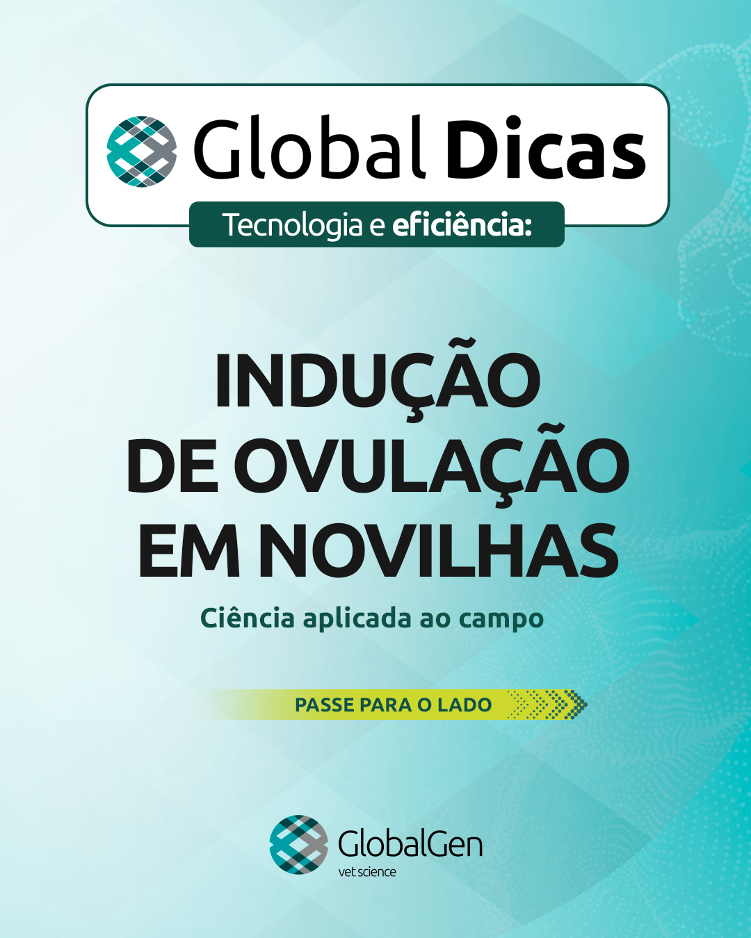 globaldicas2