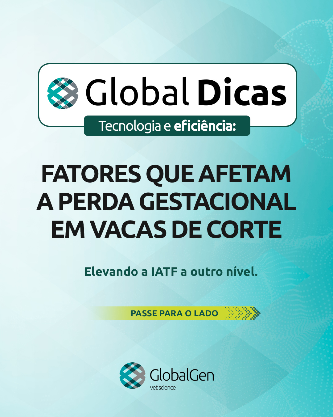 globaldicas4